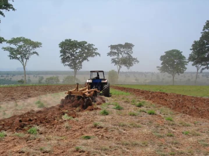 Recuperação direta com destruição parcial da vegetação