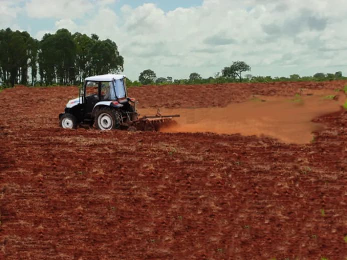 Recuperação direta com destruição total da vegetação