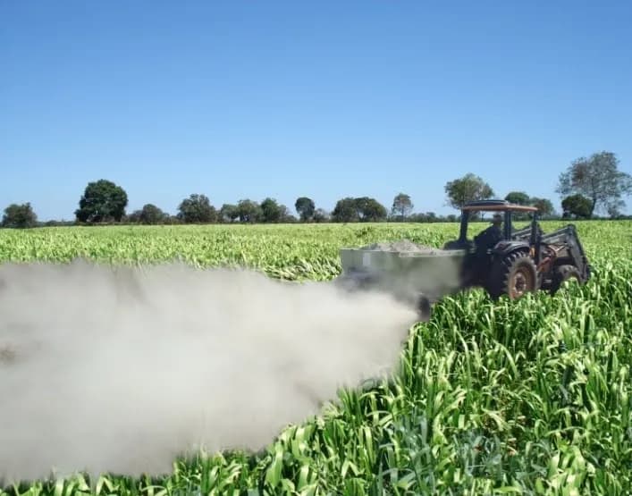 Recuperação direta sem destruição da vegetação