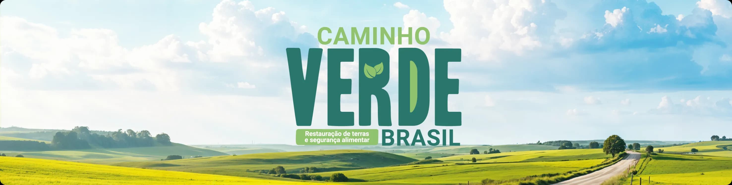 Imagem de fundo do código florestal da Embrapa