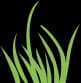 WebPasto Logo